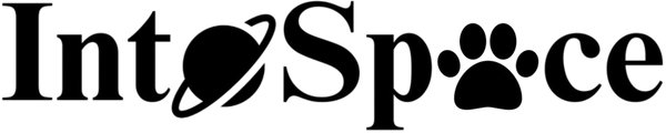 IntoSpace